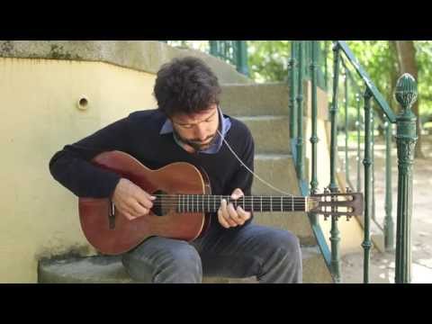 José - Miguel Araujo