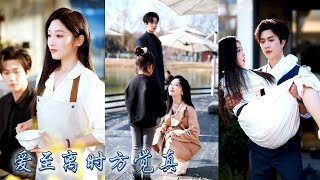 圈子裏都說時柒愛陸瑾年愛到人盡皆知愛到丟棄自尊，可2年協議期滿她這個替身瀟灑走人給白月光騰位置，離婚後大佬夜夜紅著眼求她回頭，她眼神中柔情不再满是漫不经心「老板，你的愛值多少錢？」#甜寵#先婚後愛