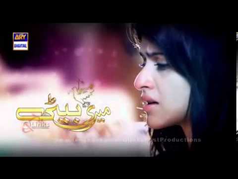 ptv drama beti complete ptv drama beti complete