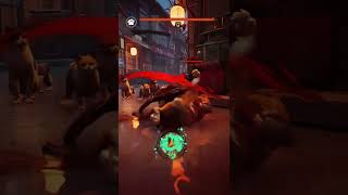 猫の縄張りバトルゲームが登場!? #shorts