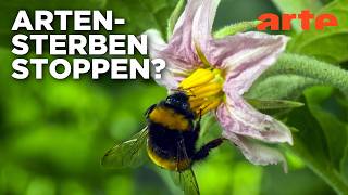 Wie kann jeder Tiere und Pflanzen schützen? | Gute Nachrichten vom Planeten | ARTE