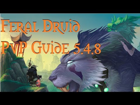 WoW 5.4.8: Feral Druid PvP Guide - Talents/Glyphs/Macros/Rotation/Gems/Reforge/Reforging 5.4