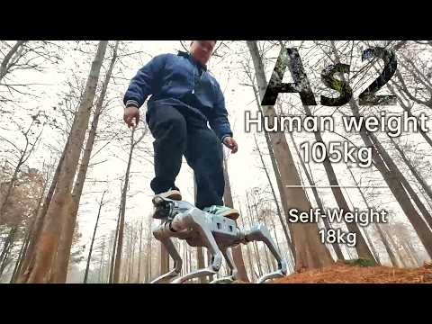 Unitree As2: The Most "Insane" Professional Robot Ever Made?