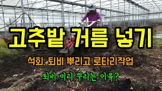 고추농사 고추밭 석회 퇴비거름넣고 로터리 퇴비사용시 주의사항