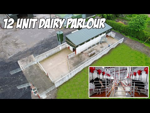 Pearson Milking Technology 12 Unit Dairy Parlour with Manual Drafting