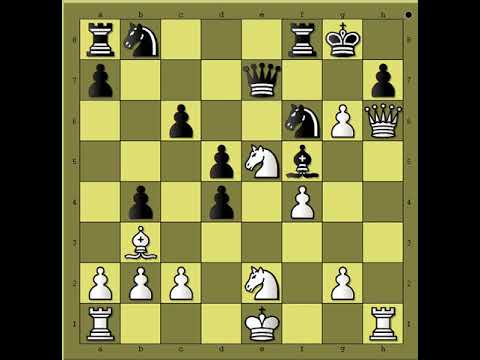 Idealna prilika je vešto iskorišćena ☆  ZHYLIN vs GURGENIDZE # 1959