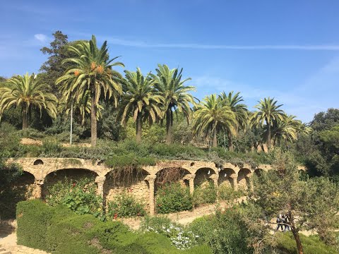 CDPJTP 2024 Barcelona (Montjuic & Park Guell)