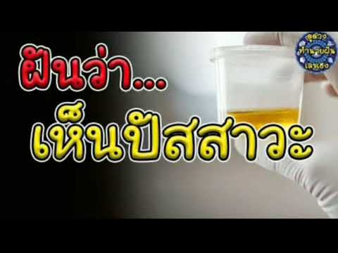 ทํานายฝัน เลขเด็ด แม่นๆ ฟรี