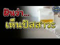 ทํานายฝัน เลขเด็ด แม่นๆ ฟรี