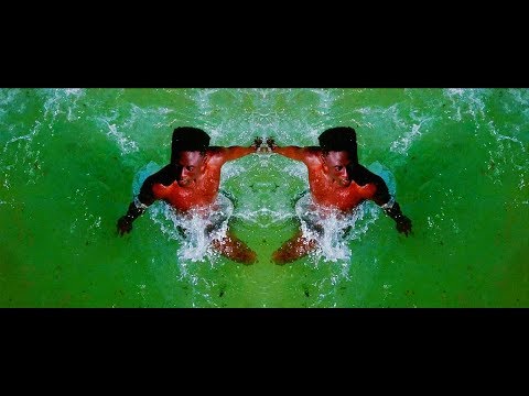 Peixe video