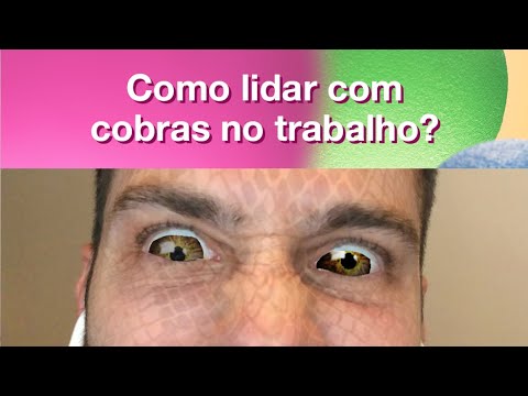 🐍Como lidar com cobras no trabalho?