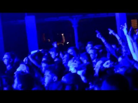 Digital Farm Animals