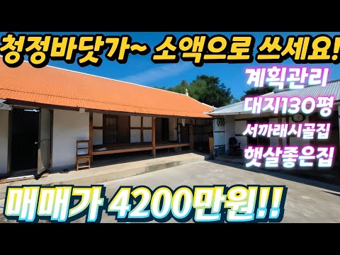 소액.땡처리~2차선변인근.바닷가~ 급싼시골집.대지130평!주택2…