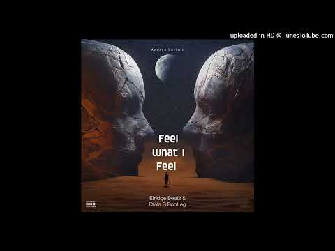 Andrea Fortuin - Feel What I Feel (Elridge Beatz & Dlala B REMIX) 2023