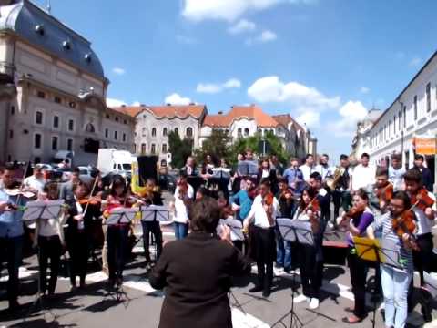 Flashmob de Ziua Europei la Oradea