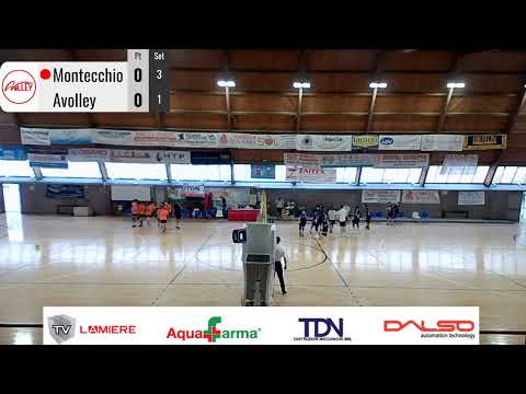 Montecchio - Avolley