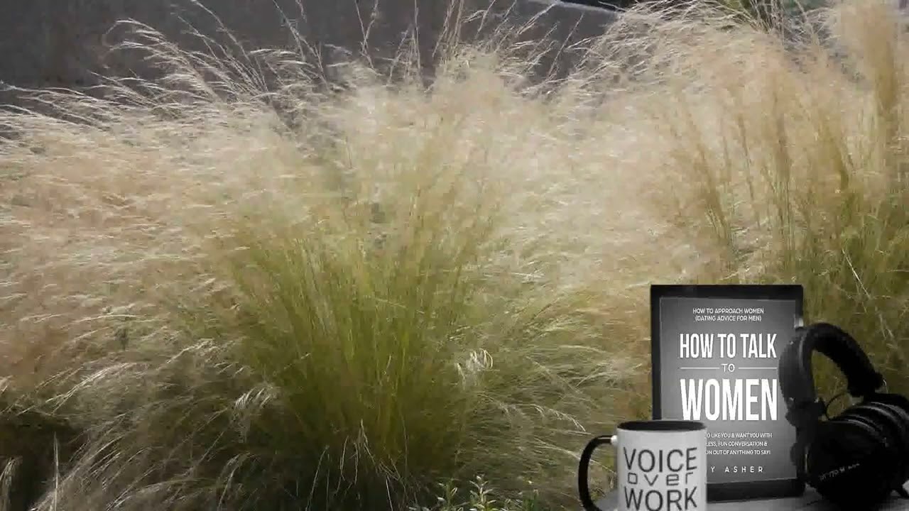 How to Talk to Women, Chapter by Chapter, by Ray Asher