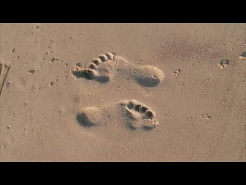 Gaby Rückert "Der Sand von Rügen"