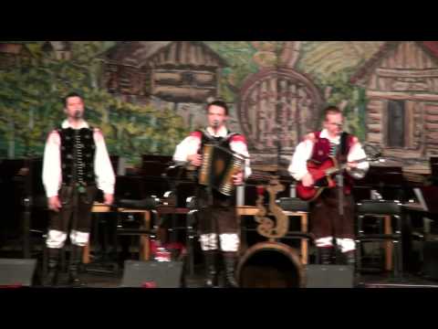 Ansambel Potep-Sinko ne sprašuj (v živo)