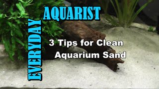 3 Tips for Clean Aquarium Sand