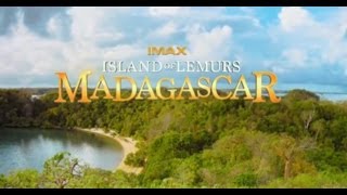 Island of Lemurs: Madagascar (2014) Video