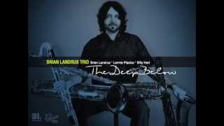 Fields Of Zava by Brian Landrus Trio