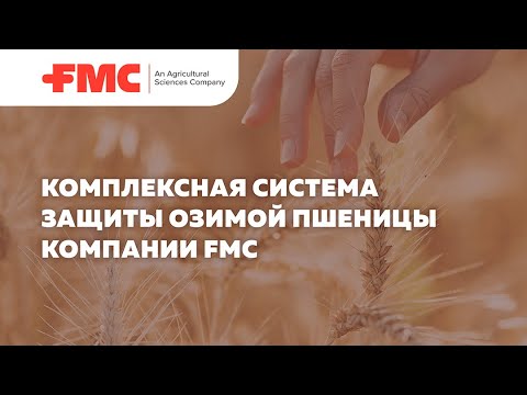 Комплексная система защиты озимой пшеницы компании FMC