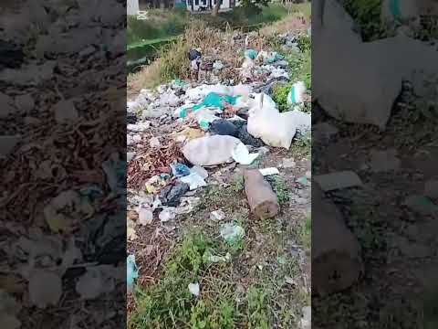 PROBLEMATICA AMBIENTAL SAN FERNANDO DE APURE