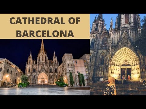 CATHEDRAL OF BARCELONA / BARCELONA