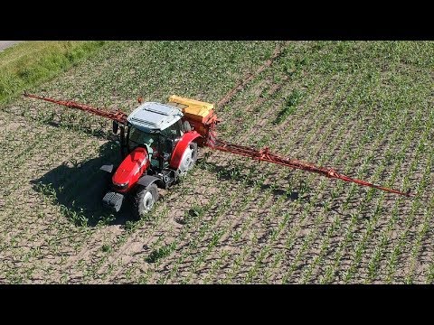 Grasuntersaat in Mais mit MF & Rauch