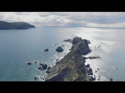 piscine extérieure luxe-forme-éventail-escalier-plantes-jardin