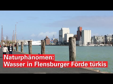 Norddeutsche Karibik: Kies & Algen färben Flensburger Förde türkis
