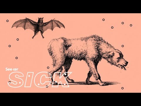 What Happens When a Human Gets Rabies? - YouTube