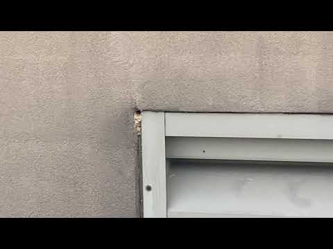 Yellow Jackets Nesting in Vent in Old Bridge, NJ