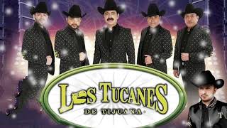 Desde Que Te Amo - Los Tucanes De Tijuana