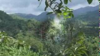 preview picture of video 'El Yunque, Rain Forsest Zip Line Corp.'