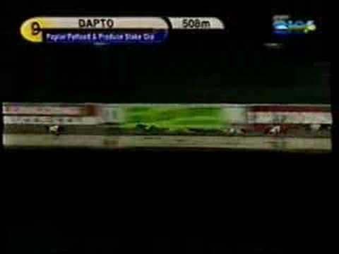 Kimbas Spirit  - Dapto Win