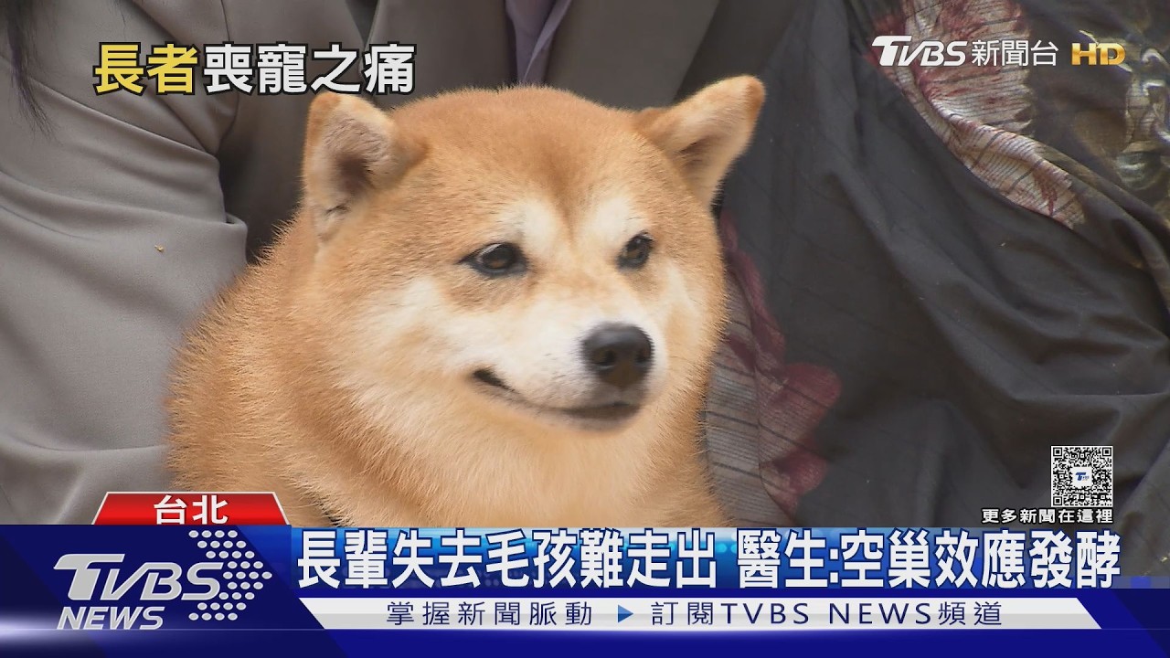 長者養寵物有「被需要感」!毛孩離世傷痛加劇 專家揭3招走出悲傷