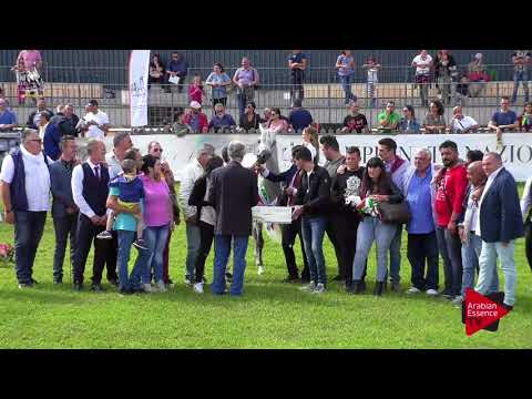 2 nd place N.48 ALEXANDER PC - 2017 Italian Nationals - Junior Colts Championship (Class 18)