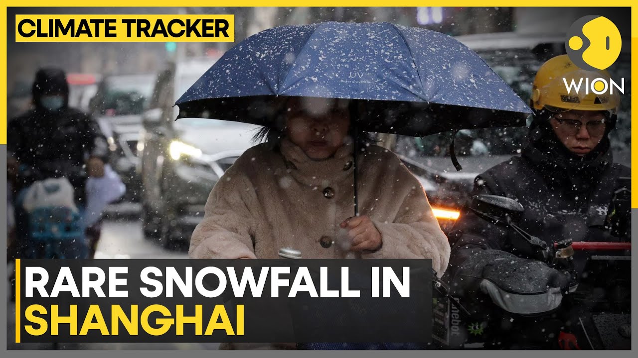Rare Snowfall Blankets Shanghai As Southern China Shivers In Cold Snap | WION Climate Tracker
