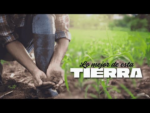 Lo mejor de esta tierra (Adilson Silva - cover Daniel Amaya)