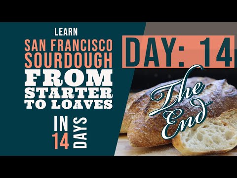 San Francisco Sourdough Bread Series: Day 14 - Final FAQ Finale