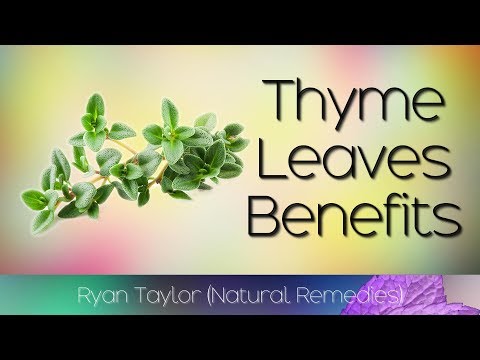 Thyme Leaves: Benefits and Uses