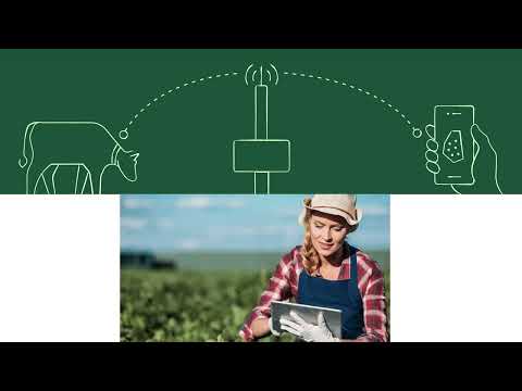 AI as your Operant Ally - Dr Sommer Kaptain - TMG25