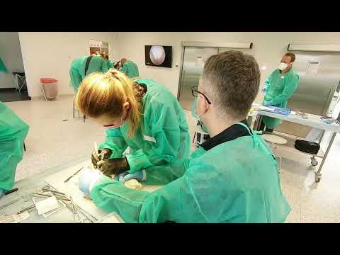 Kurs Polskiego Towarzystwa Chirurgii Ręki - 17 marca 2021