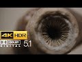 Dune Part Two Baby Sandworm HDR 4K 5 1