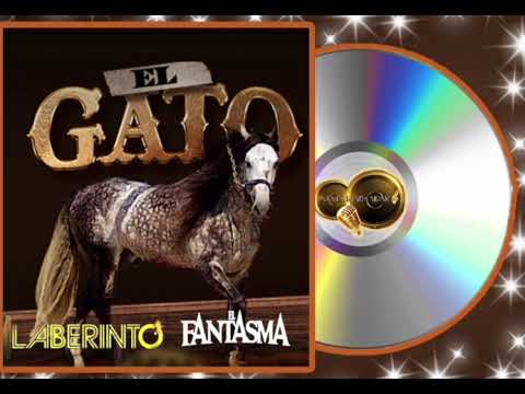 EL GATO - EL FANTASMA & GRUPO LABERINTO [2023] .