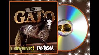EL GATO - EL FANTASMA &amp; GRUPO LABERINTO [2023] .