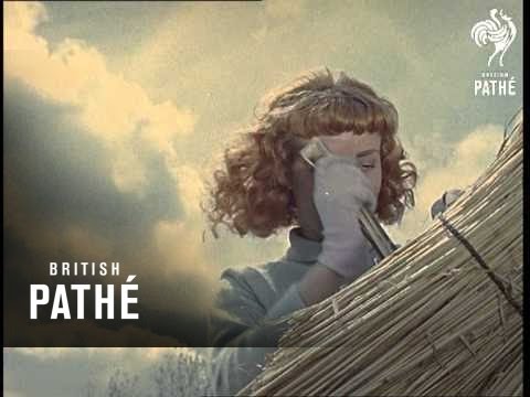 Out Takes / Cuts From Cp 390 - Reel 2 Of 2 - Girl Thatcher And Girl Racer (1962)