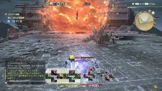 ネタバレあり FFXIV 極ニーズヘッグを青魔道士ソロでやってみました